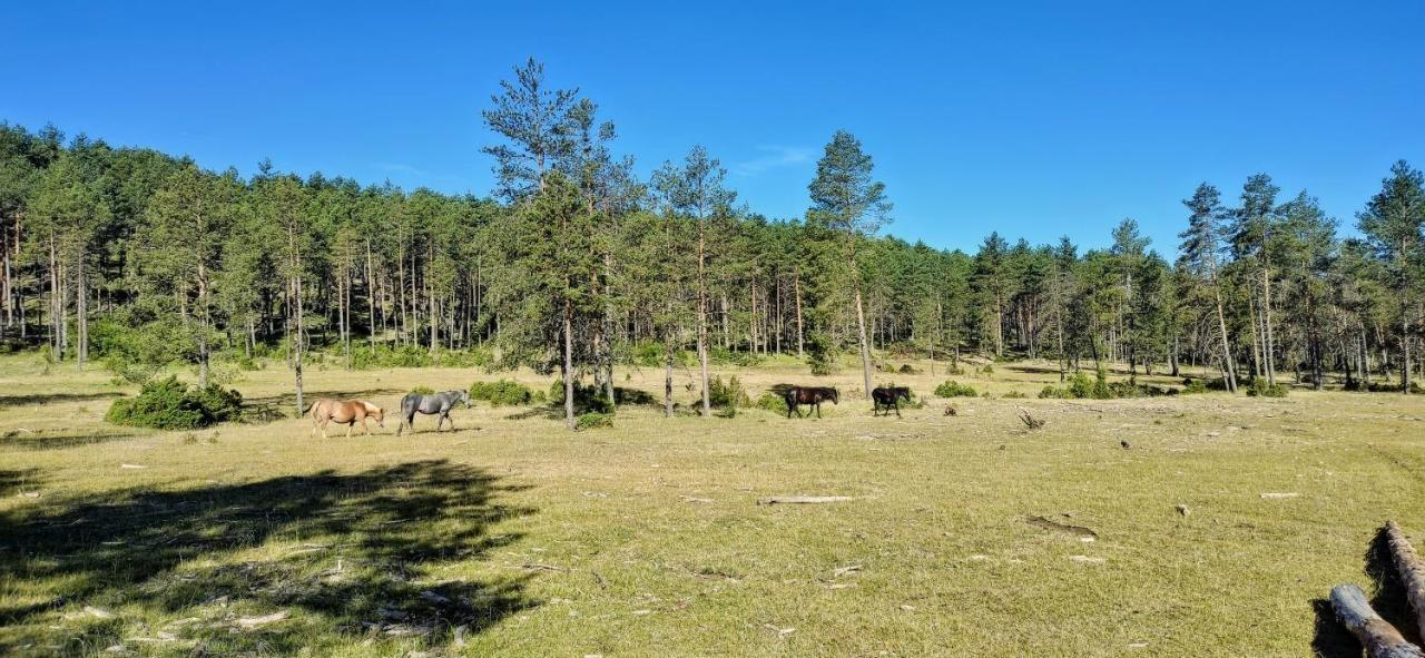 Alojamiento Rural Los Gancheros Tragacete Luaran gambar
