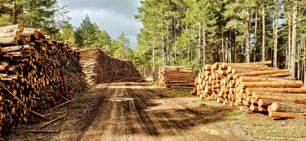 Alojamiento Rural Los Gancheros Tragacete Luaran gambar