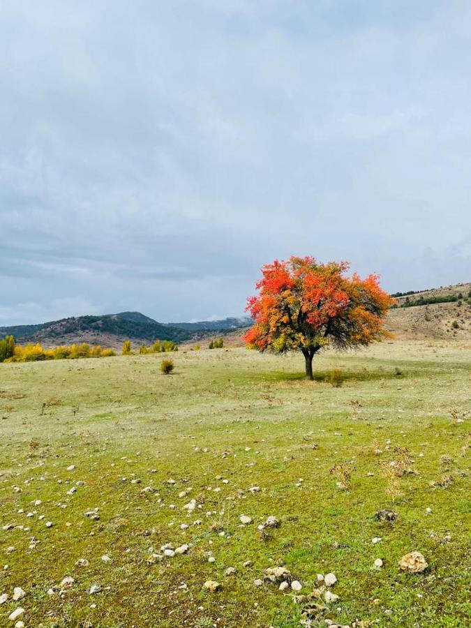 Alojamiento Rural Los Gancheros Tragacete Luaran gambar